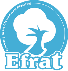Efrat System